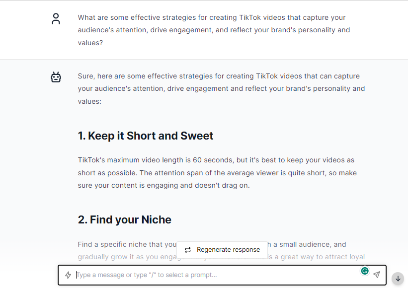 TikTok Effective Strategies Video - ChatGPT Prompts For TikTok