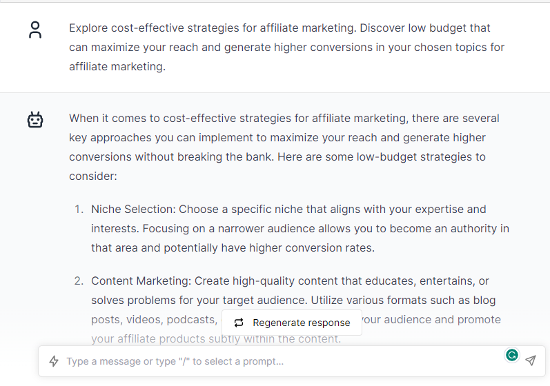 Explore Cost-Effective Strategies for Affiliate Marketing - Chatgpt Prompts for Affiliate Marketing