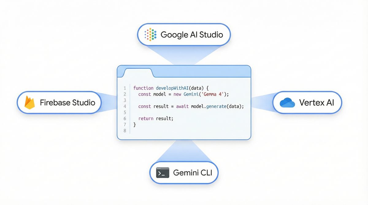 Developer